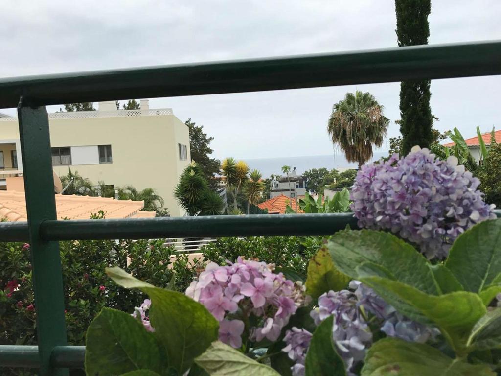 Monte Verde Funchal  Buitenkant foto